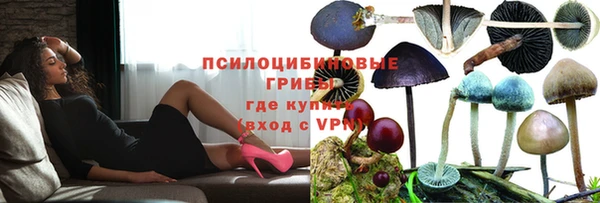 спиды Михайловск