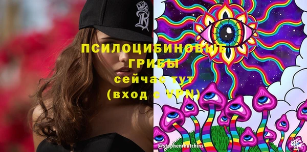 Альфа ПВП Михайлов