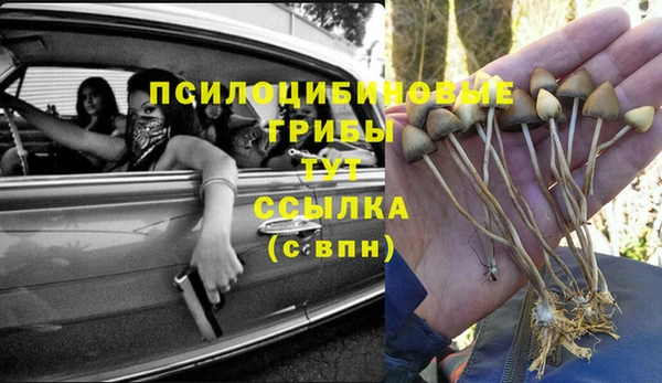 Альфа ПВП Михайлов