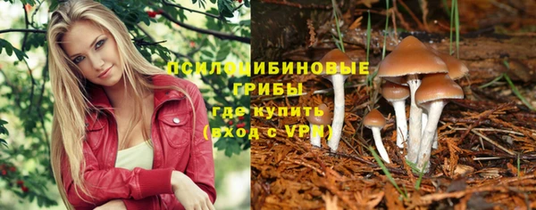 дурь Михайловка
