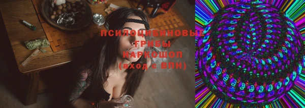 спиды Михайловск