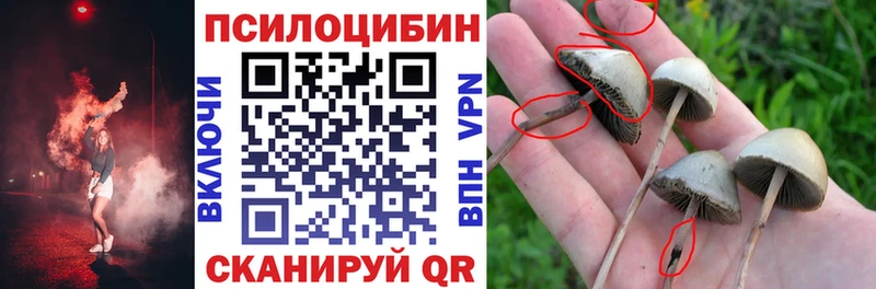 Галлюциногенные грибы Psilocybine cubensis Холмск
