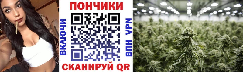 блэк спрут сайт  Холмск  Бошки Шишки THC 21%  наркотики 